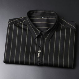 湯河之家 2019秋季新款長袖襯衫男青年時(shí)尚修身精品刺繡條紋襯衣男裝c