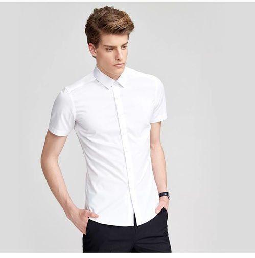 湯河之家 免燙修身襯衫男短袖商務(wù)青年韓版職業(yè)上班正裝純色襯衣