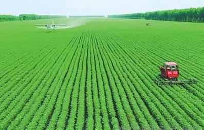 貴州有機蔬菜與生態(tài)農(nóng)業(yè)發(fā)展前景——以貴州輝煌農(nóng)業(yè)開發(fā)為例