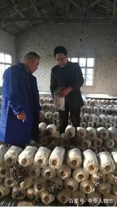 一生為民 無怨無悔——湖南常德市食用菌產(chǎn)業(yè)協(xié)會會長馬永春訪談錄