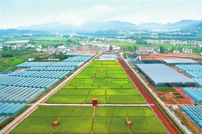 江西贛州 深耕富硒沃土，繪就現代農業(yè)新圖景