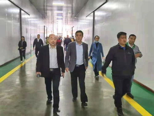 深化南北合作，共拓農業(yè)新篇——東莞市河南商會赴黑龍江商務考察紀實
