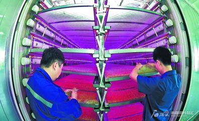 植物工廠 智慧農業(yè)