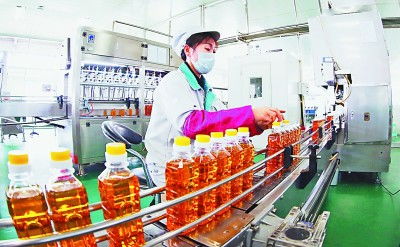 吉林 厚植黑土優勢，賦能農業升級，擘畫現代農業新藍圖