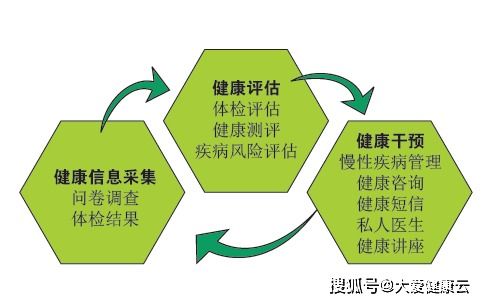 健康風(fēng)險(xiǎn)評估 健康管理的關(guān)鍵核心